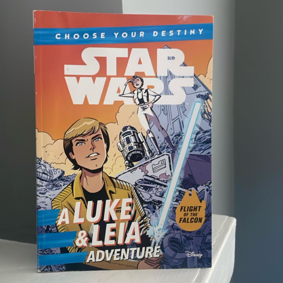 Star Wars a Luke and Leia Adventure