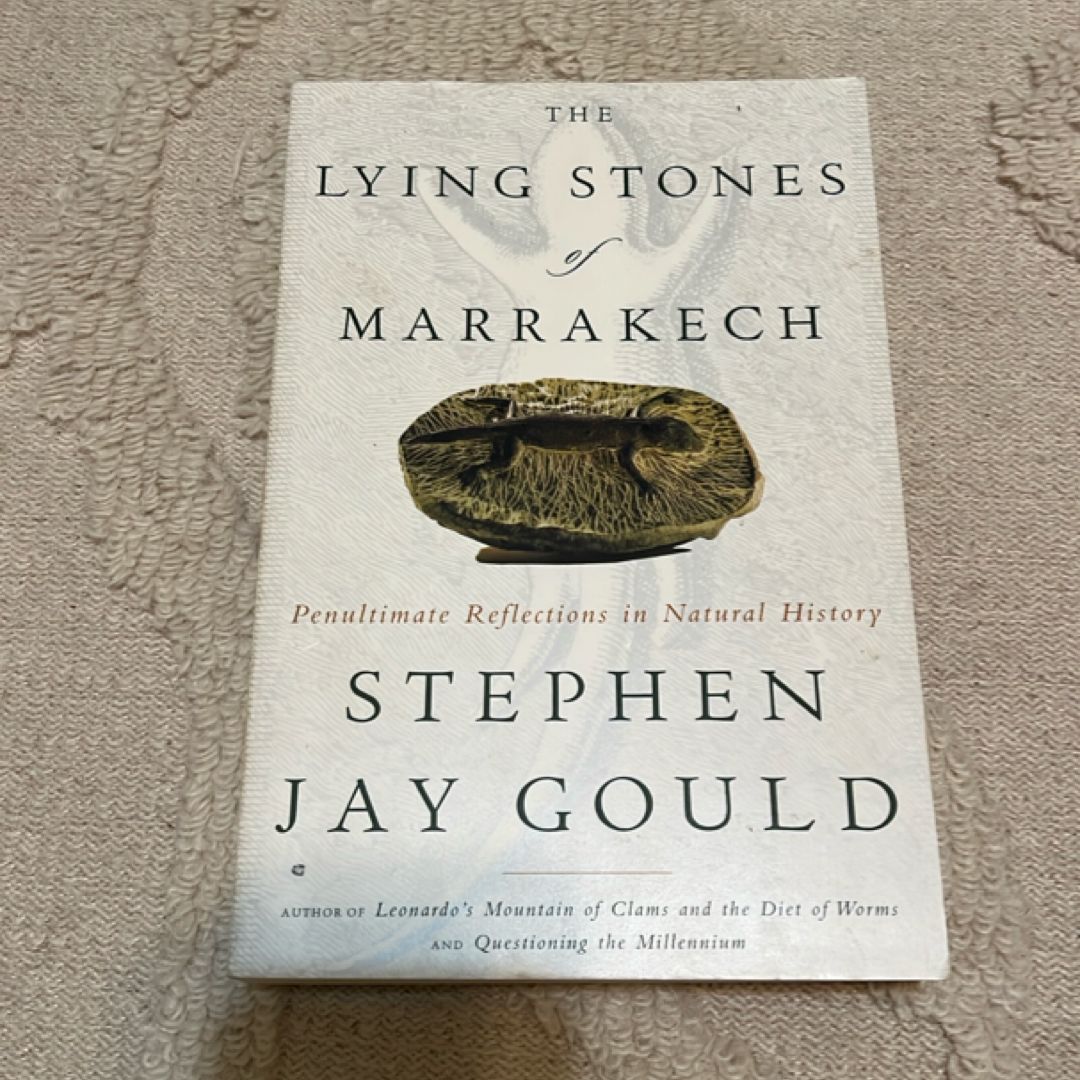 The Lying Stones of Marrakech