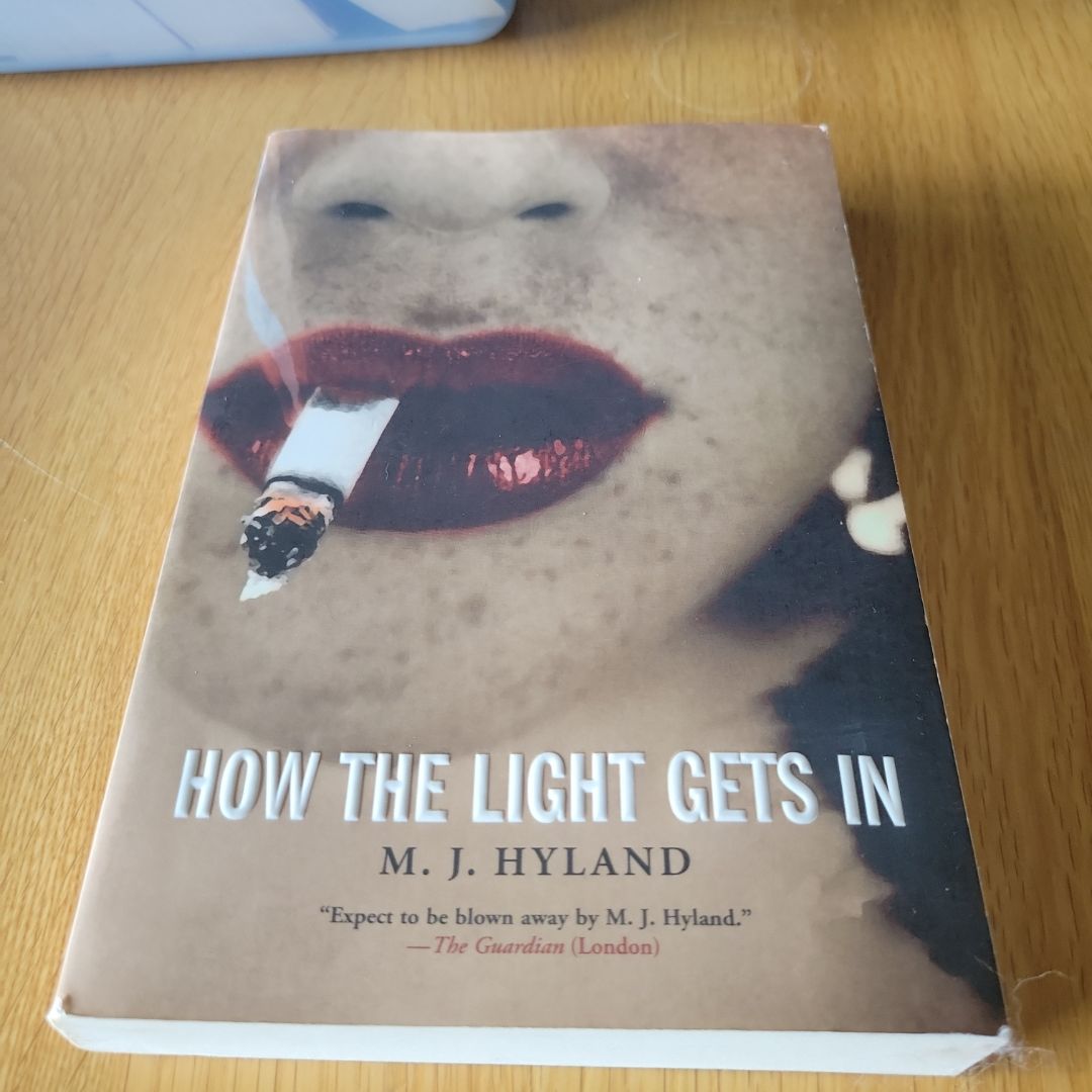 How the Light Gets In