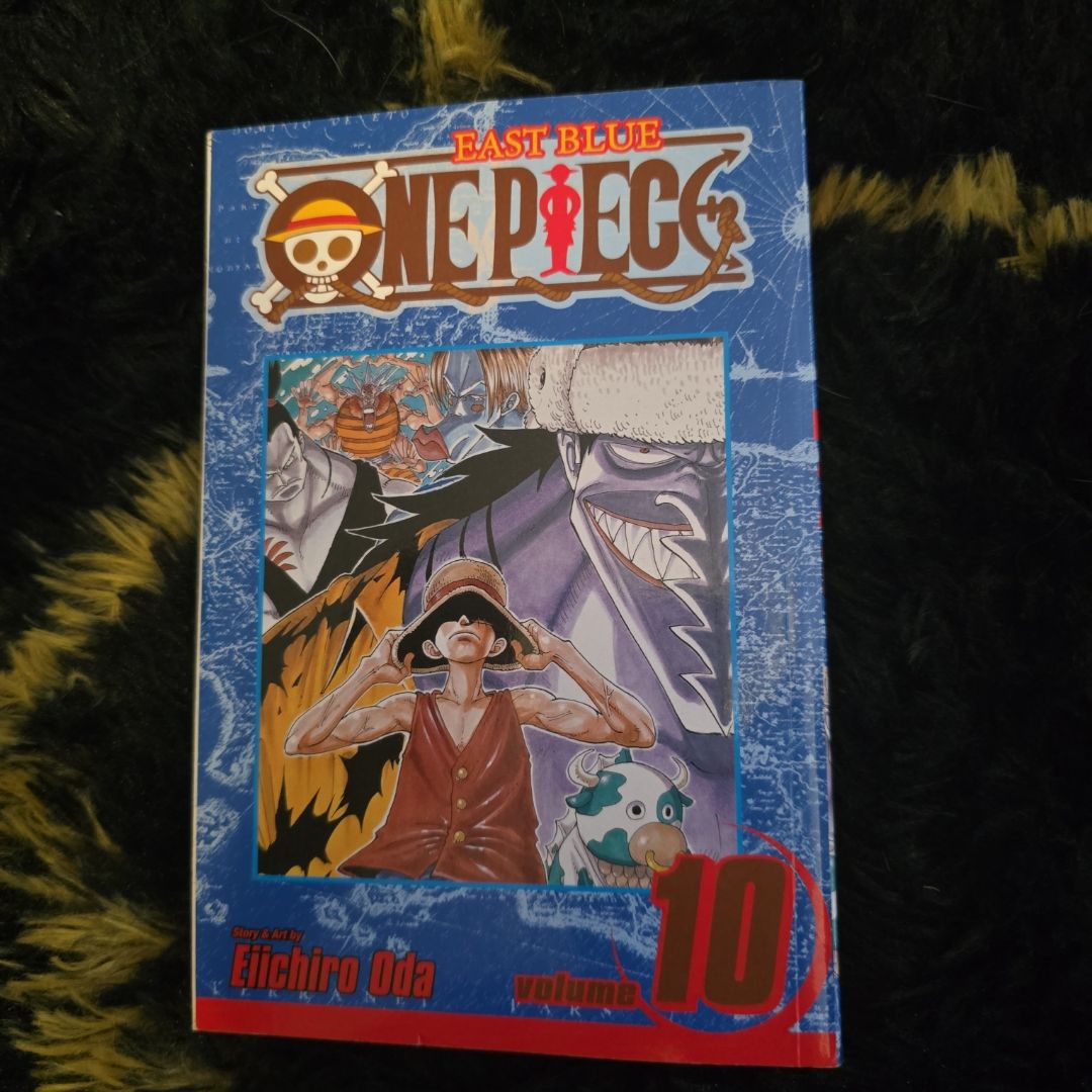 One Piece, Vol. 10