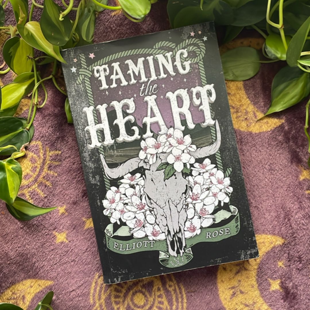 Taming the Heart: An Age Gap, Cowboy Romance