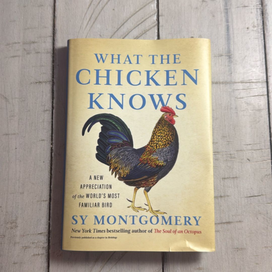 What the Chicken Knows