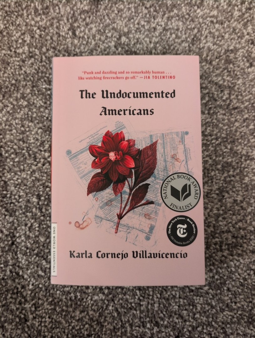The Undocumented Americans