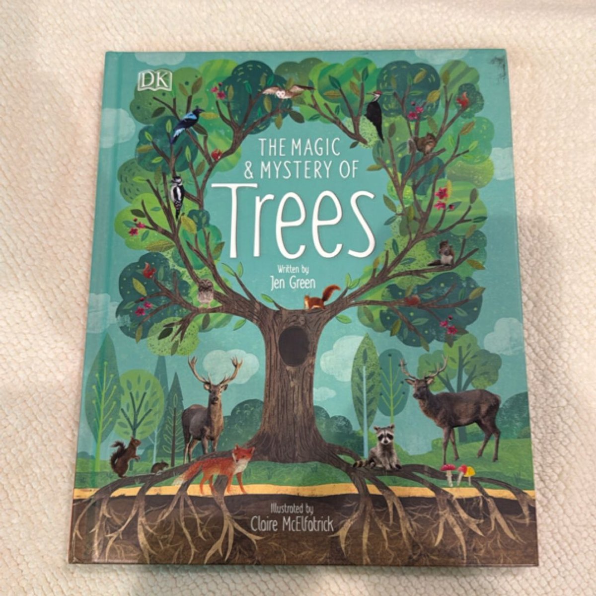 The Magic and Mystery of Trees by Jen Green