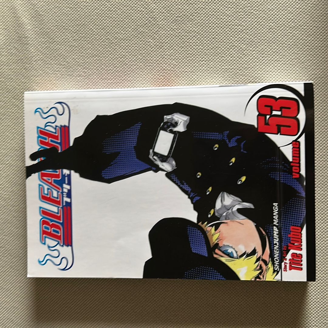 Bleach, Vol. 53