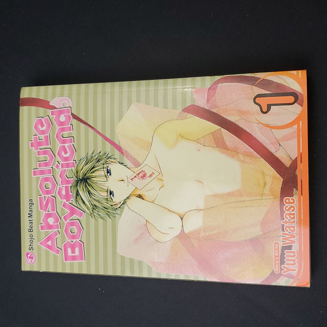 Absolute Boyfriend, Vol. 1