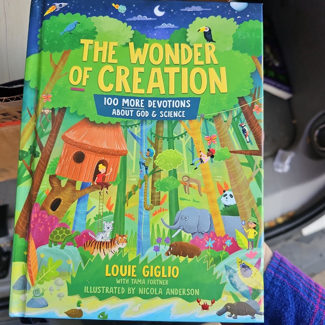 The Wonder of Creation