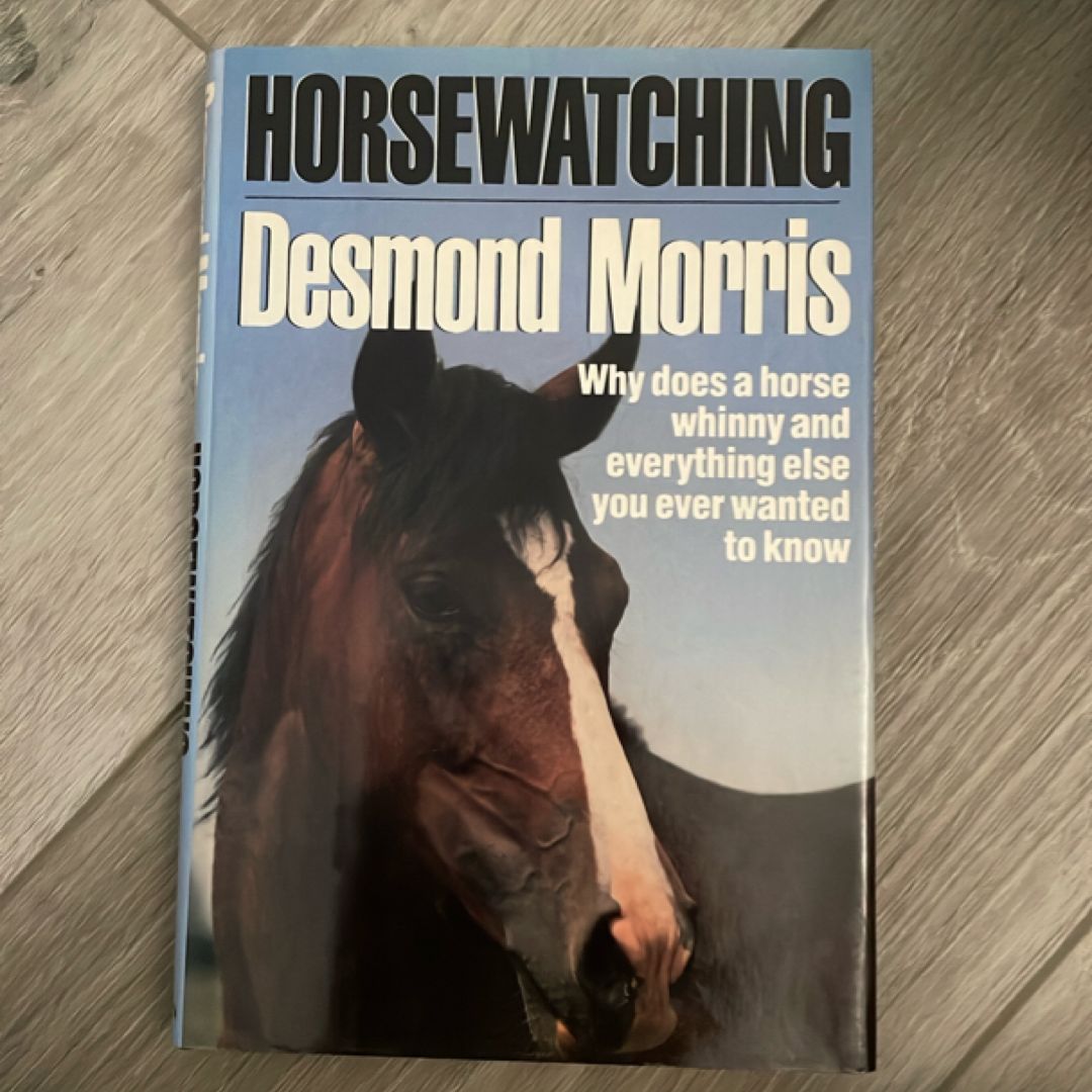 Horsewatching