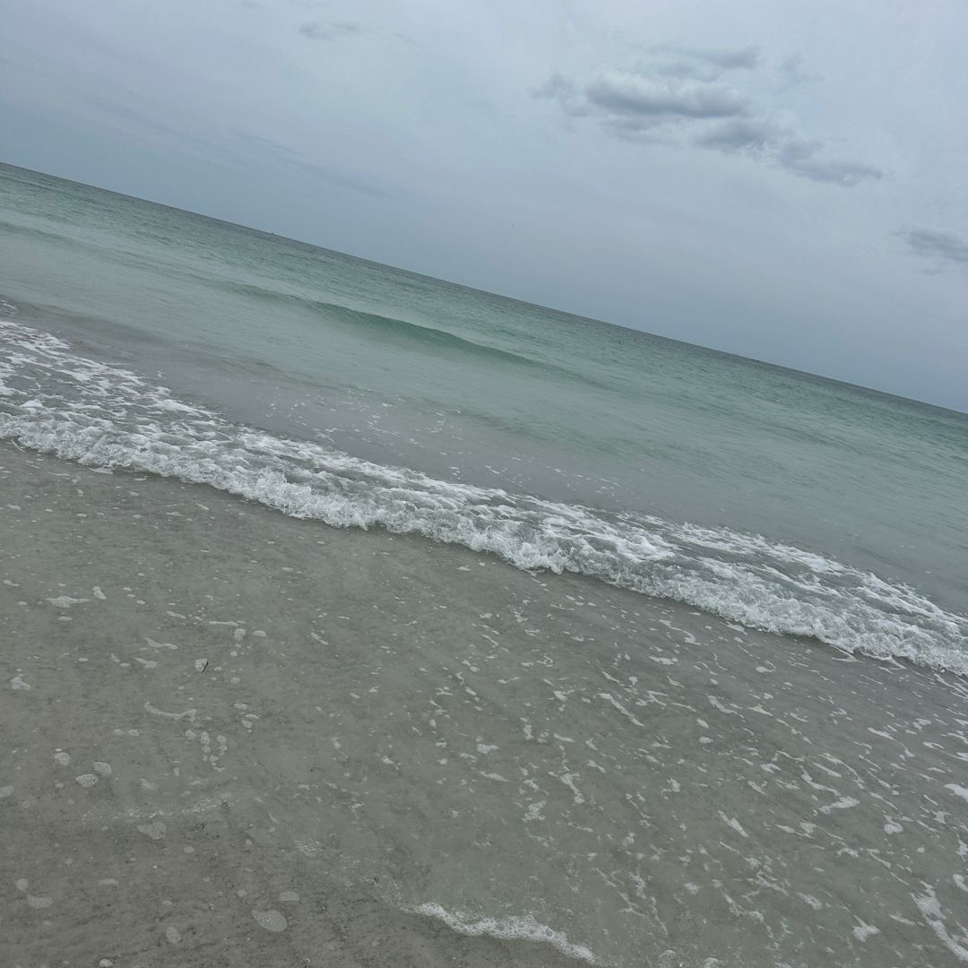 Adventurous Dreamers