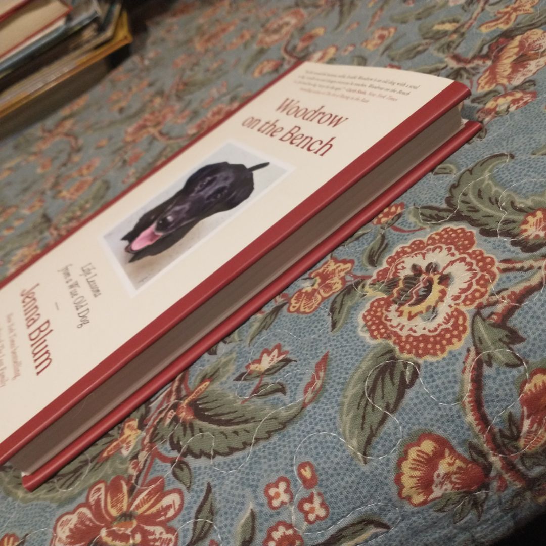 Woodrow on the Bench