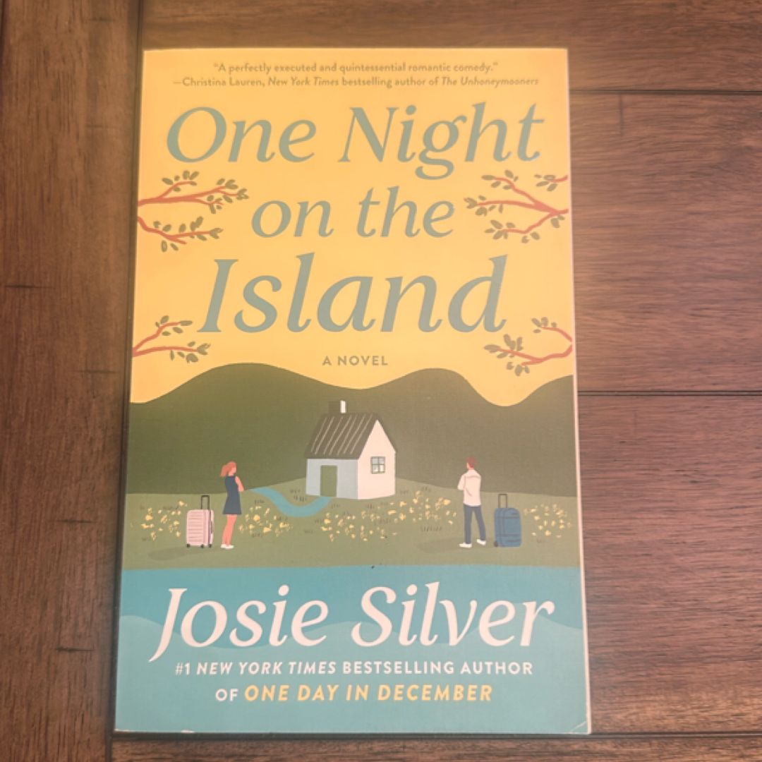 One Night on the Island