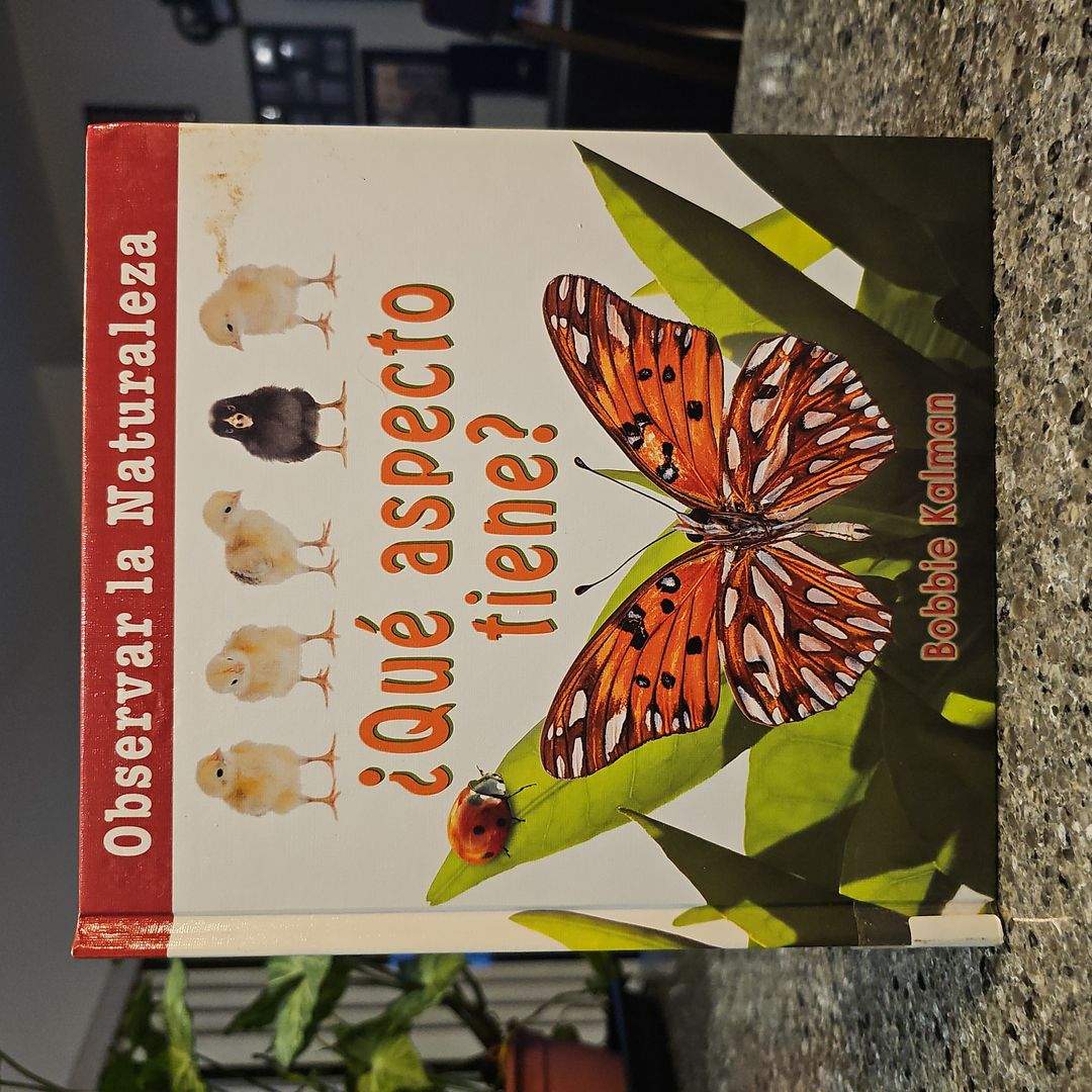 ¿Qué Aspecto Tiene?^