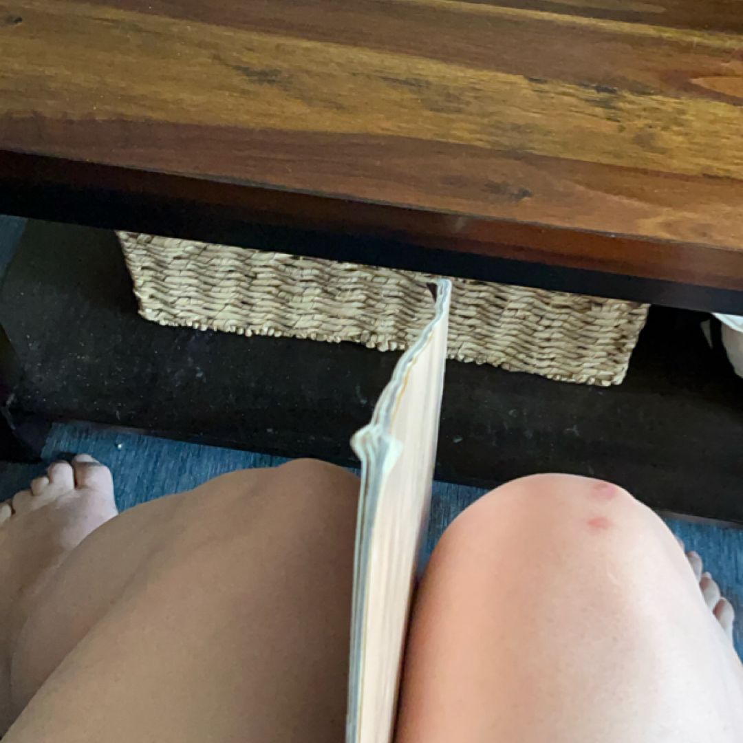 Dinosaur Book Bundle 