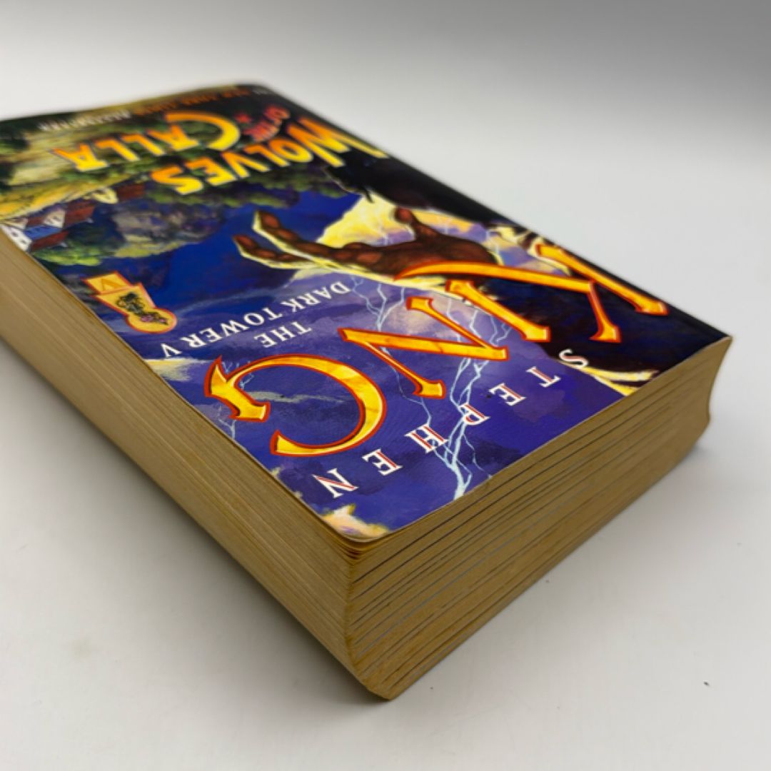The Dark Tower V