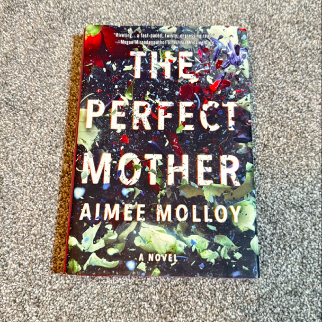 The Perfect Mother