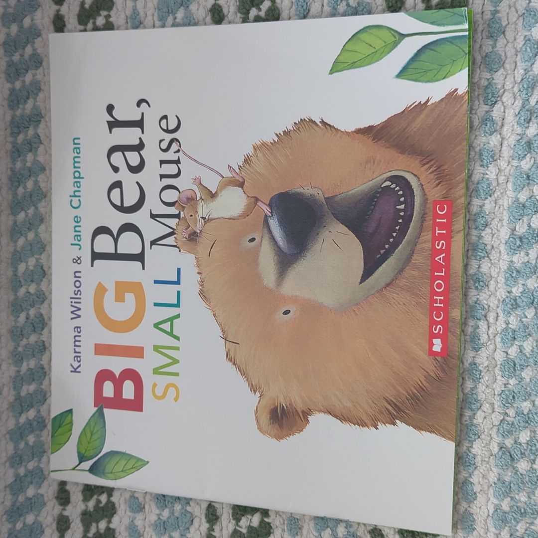 Big Bear, Small Mouse