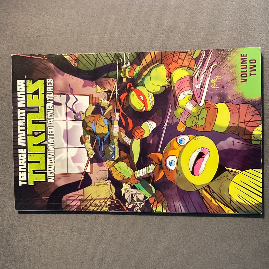 Teenage Mutant Ninja Turtles: New Animated Adventures Volume 2