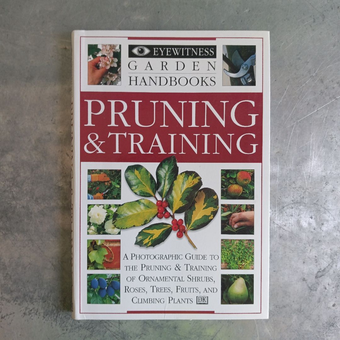 Pruning and Training