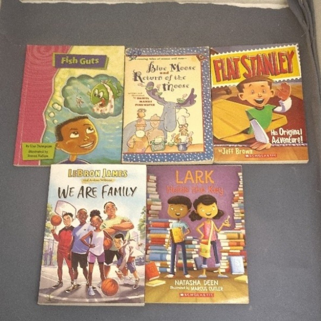 Kids 5 Book Lot Flat Stanley LeBron James Lark Blue Moose Fish Guts Readers