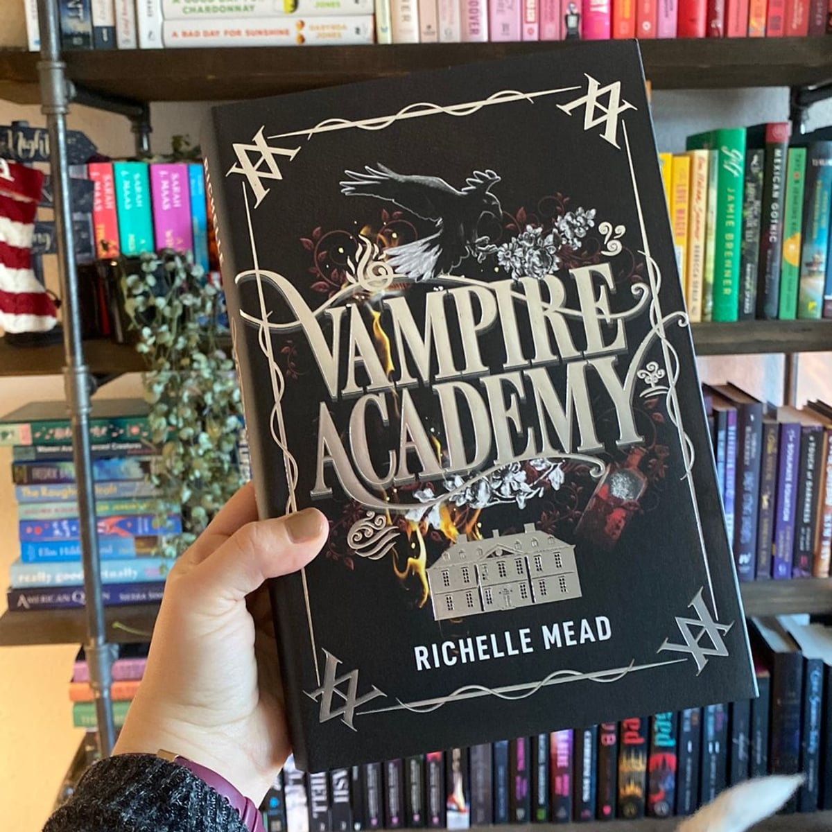 Vampire Academy Fairyloot by Richelle Mead, Hardcover Pangobooks