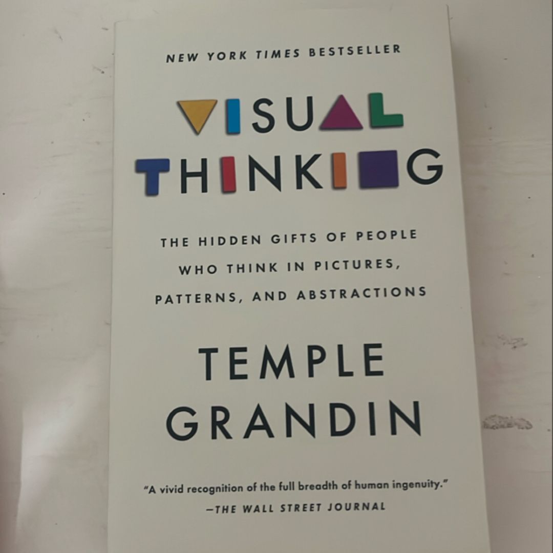 Visual Thinking