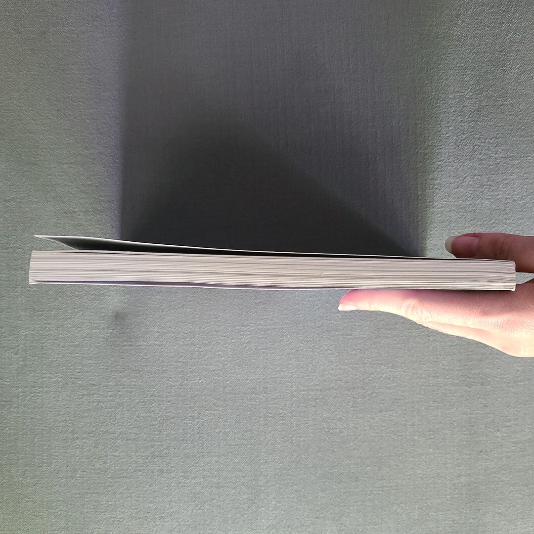 Amulet The Stonekeeper's Curse