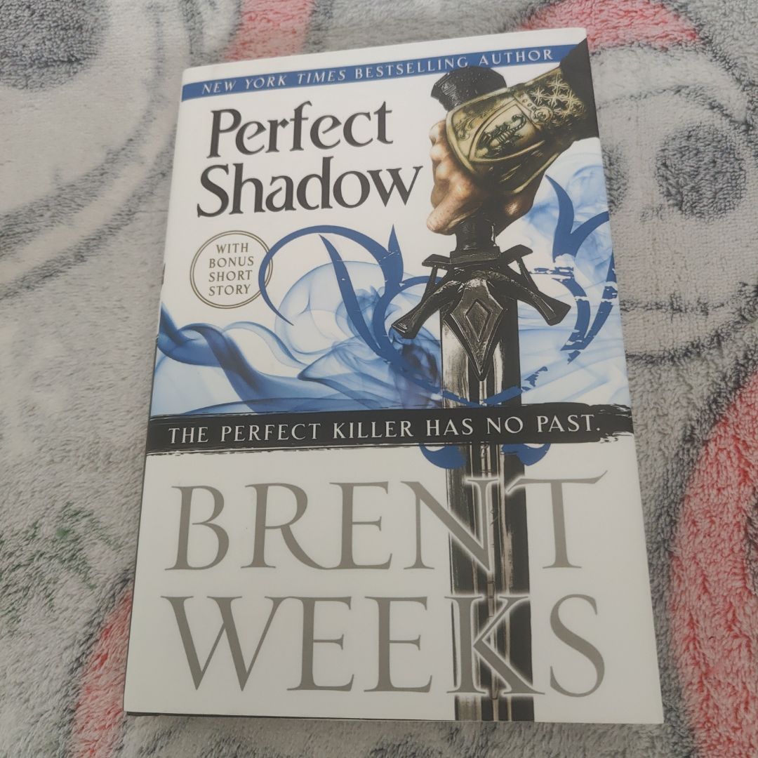 Perfect Shadow -- The Perfect Killer Has No Past