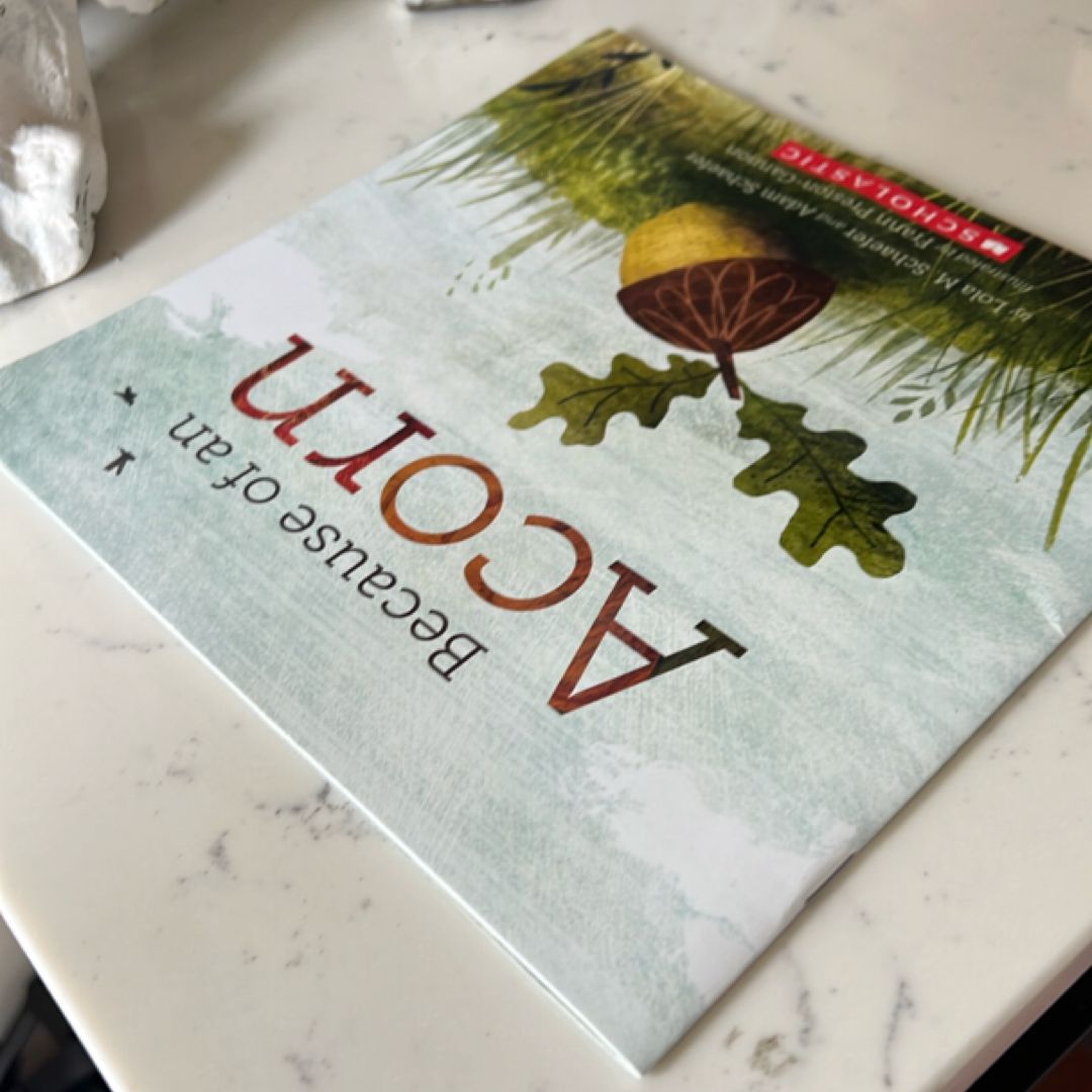 Because of an Acorn by Lola M. Schaefer, Adam Schaefer