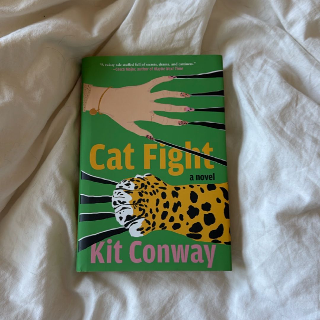 Cat Fight