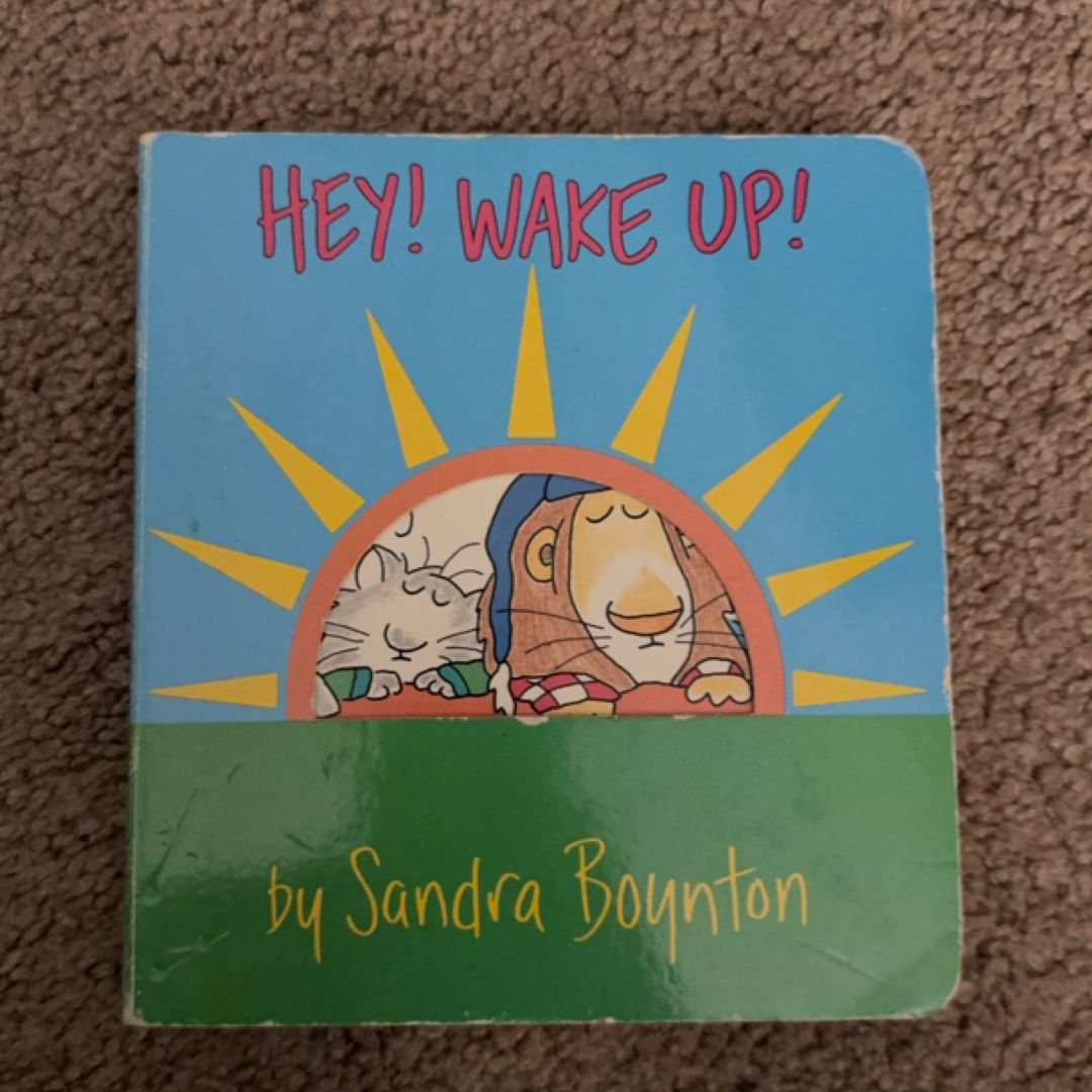 Hey! Wake Up!