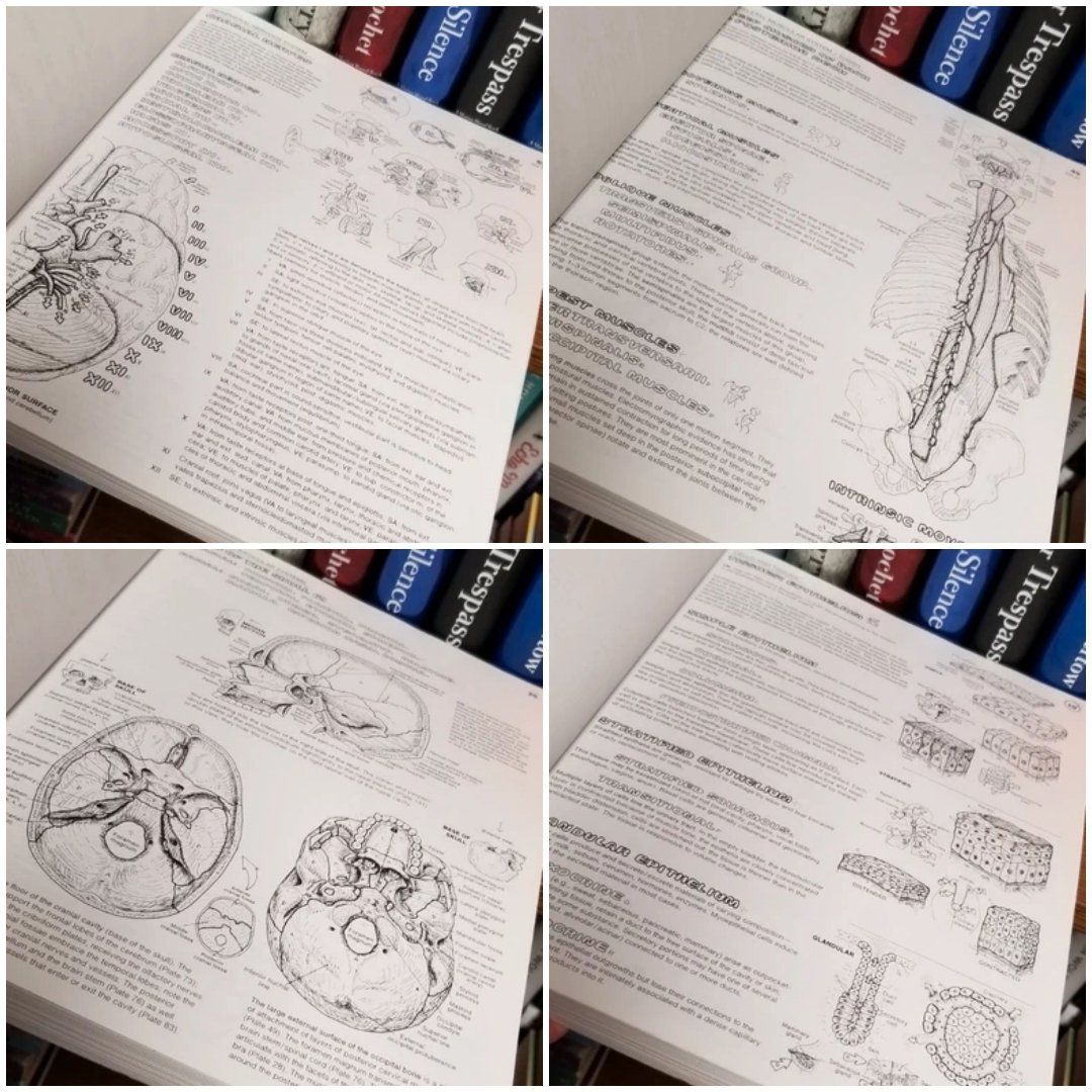 The Anatomy Coloring Book
