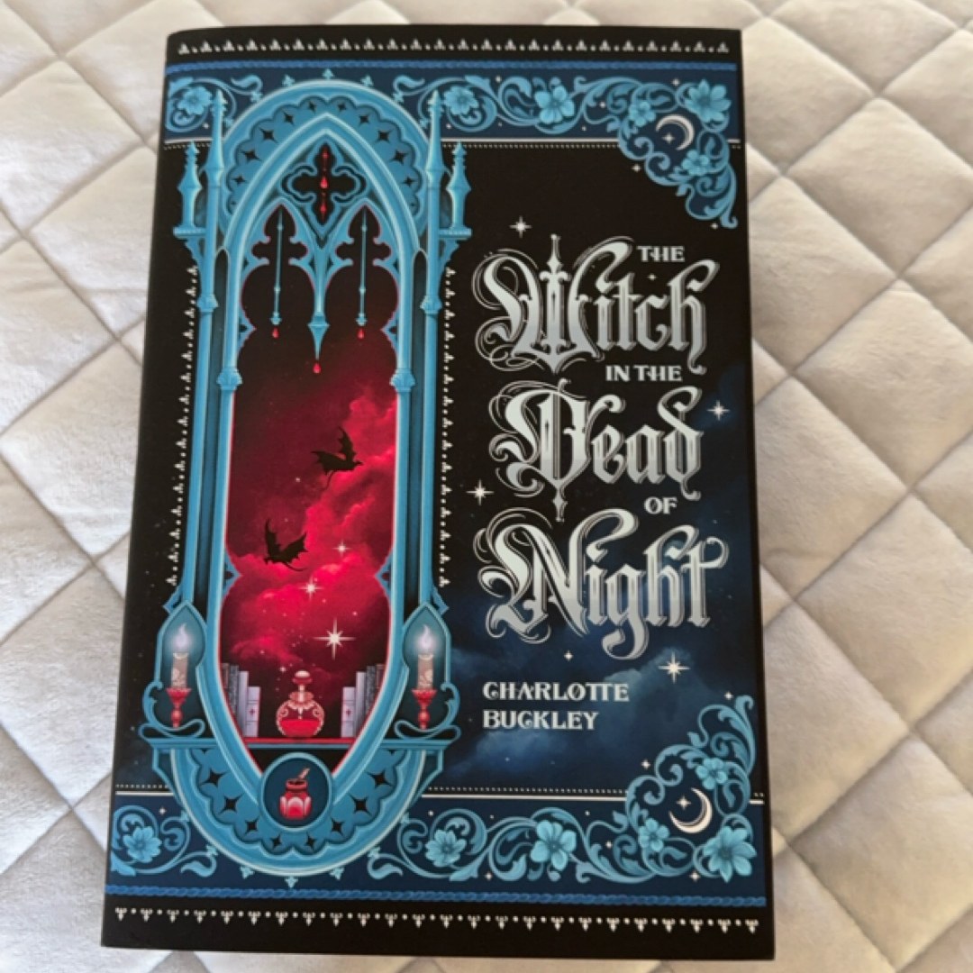 Metal Slinger -Fairyloot by Rachel Schneider, | PangoBooks