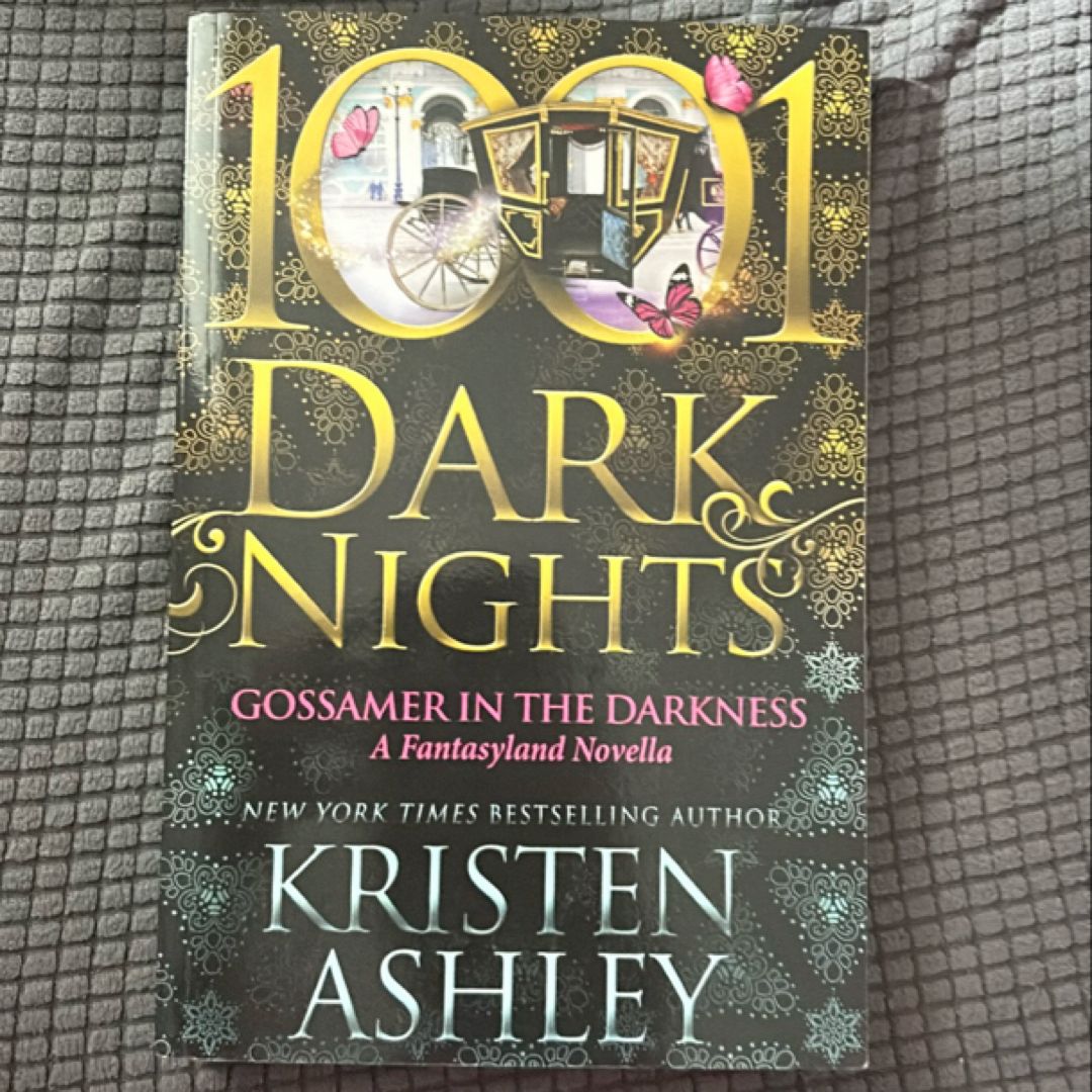 Gossamer in the Darkness: A Fantasyland Novella