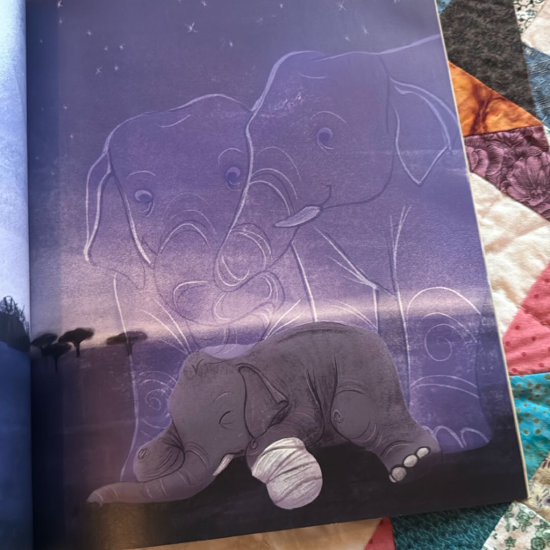 The Elephant's New Shoe