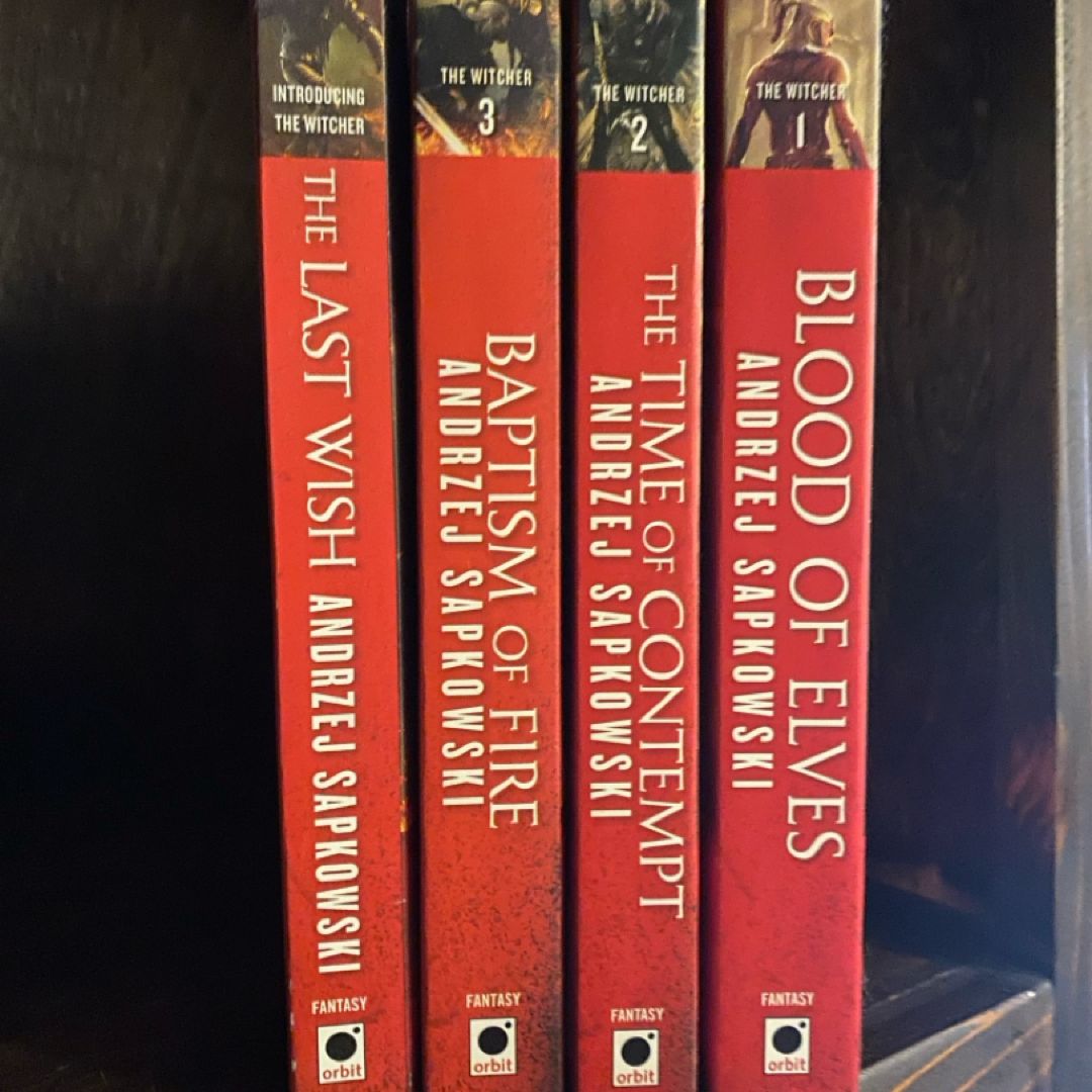 The Witcher series