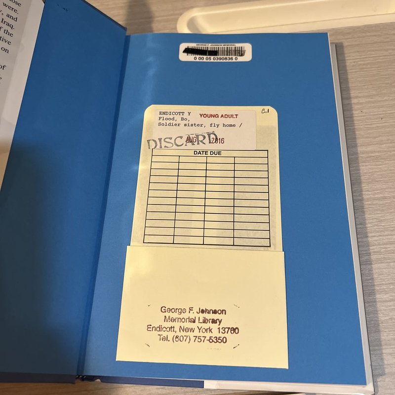 Soldier Sister, Fly Home