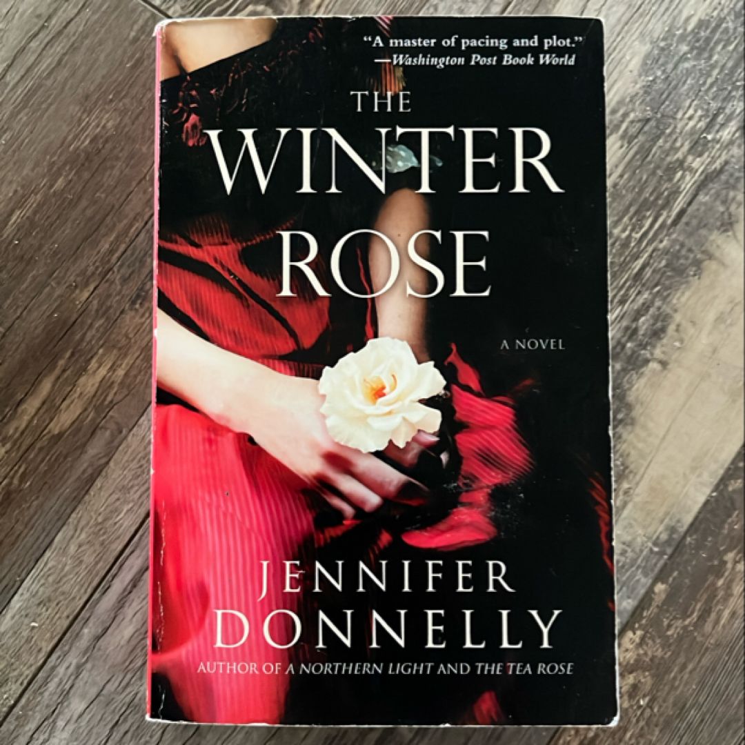 The Winter Rose