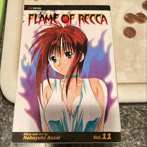 Flame of Recca, Vol. 11