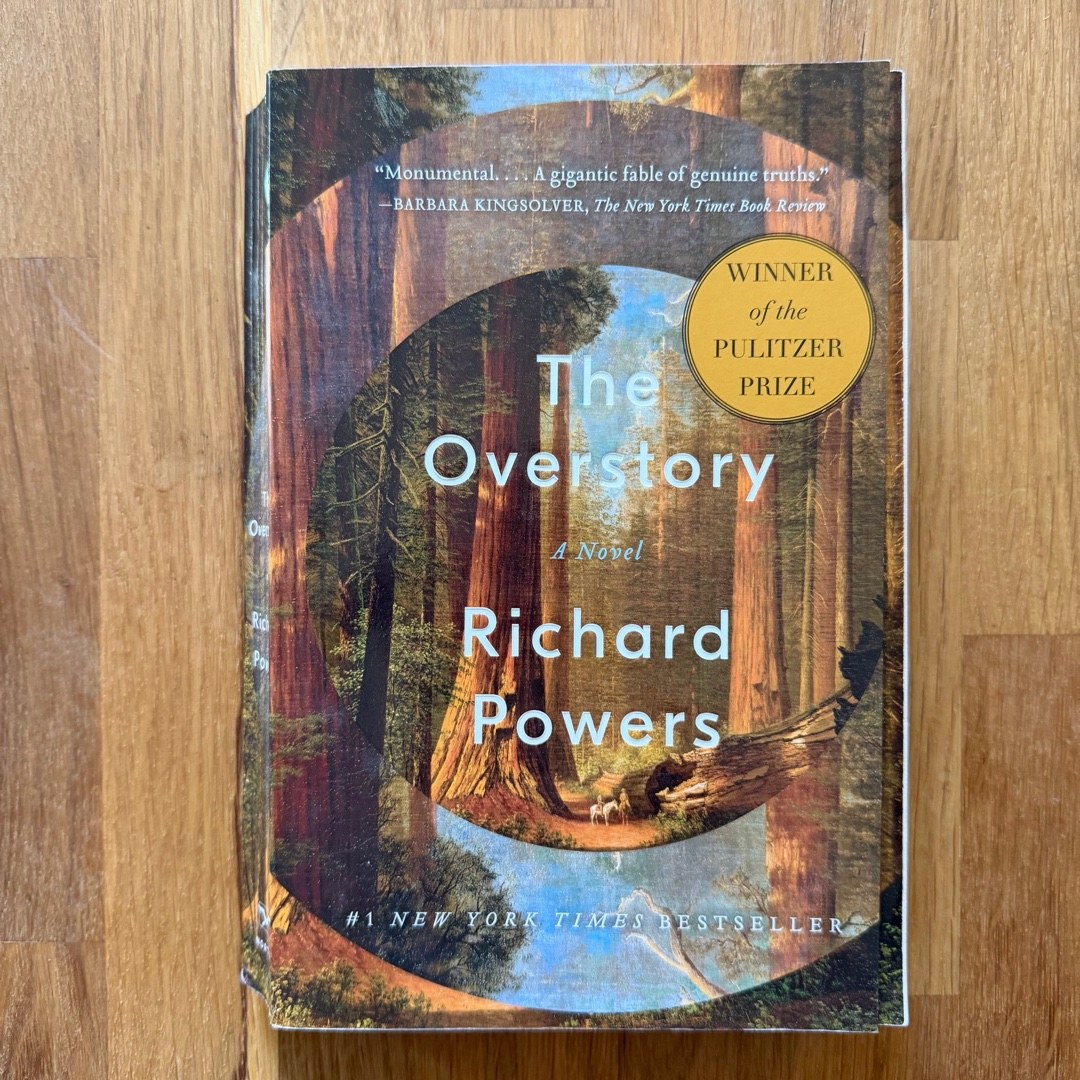 The Overstory