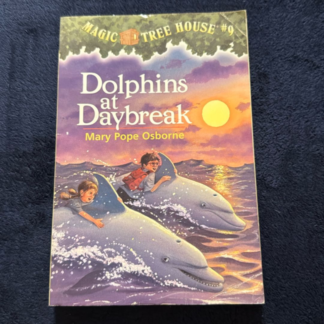 Dolphins at Daybreak