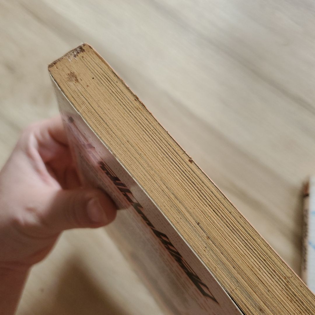 Train_Man: Densha Otoko, Vol. 2