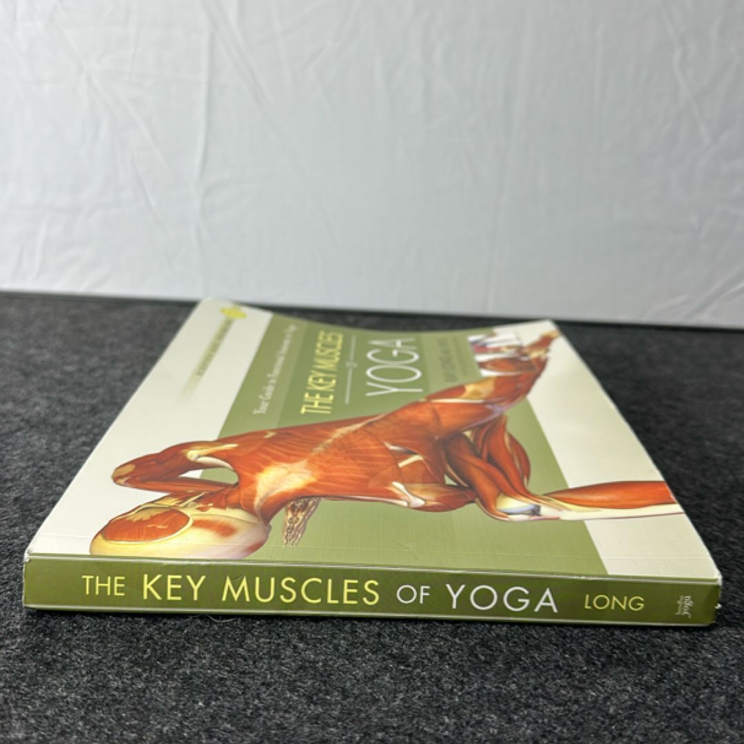Key Muscles of Yoga by Ray Long