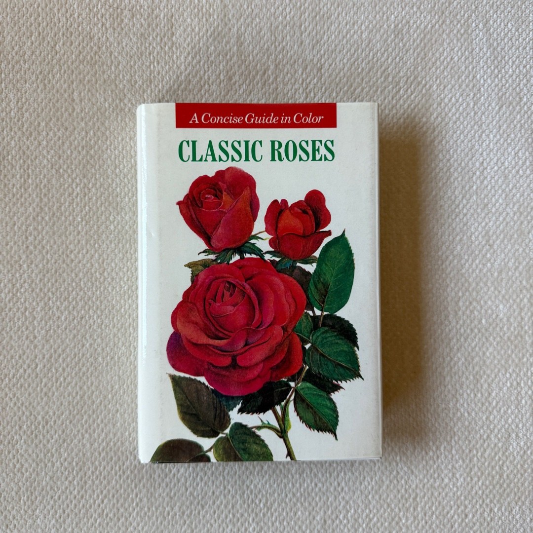 Classic Roses A Concise Guide in Color