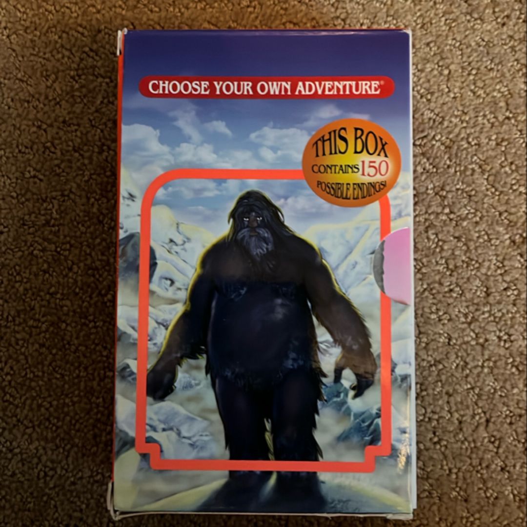 Choose Your Own Adventure