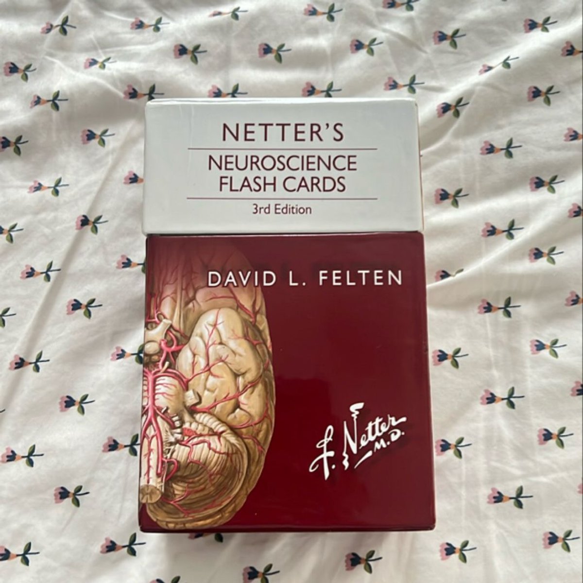 Netter's Neuroscience Flash Cards by David L. Felten