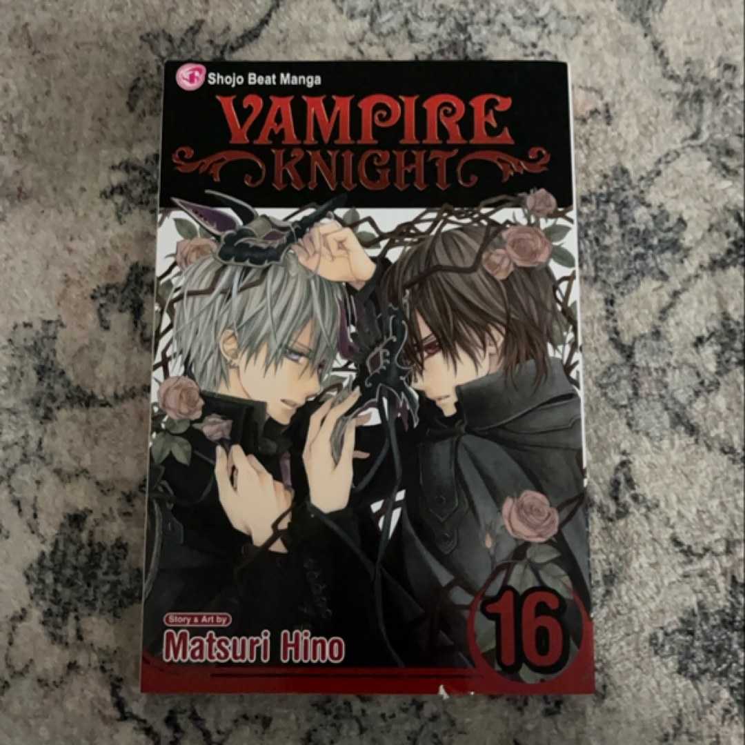 Vampire Knight, Vol. 16