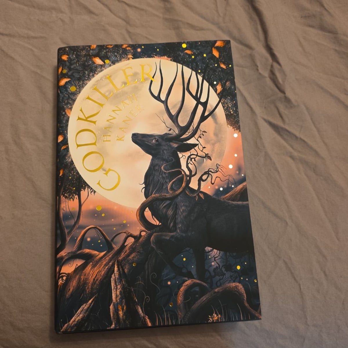 Godkiller by Hannah Kaner, Hardcover | Pangobooks