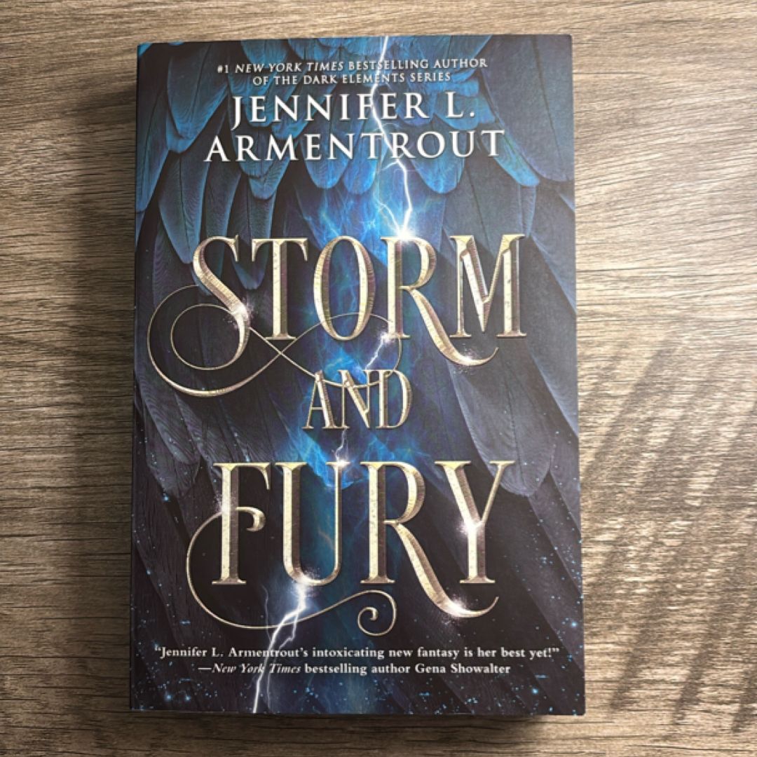 Storm and Fury
