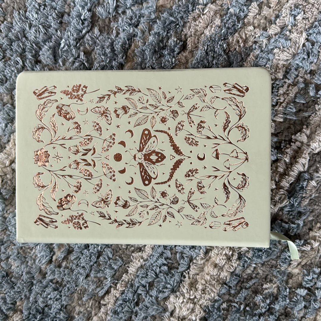 Fairyloot book journal