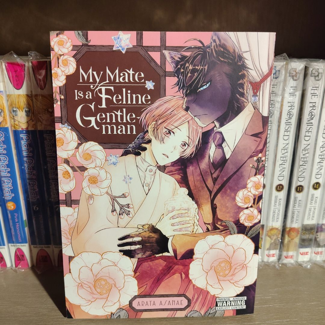 My Mate Is a Feline Gentleman